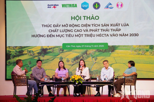 Cần Thơ: Thúc đẩy mở rộng diện tích lúa chất lượng cao, phát thải thấp