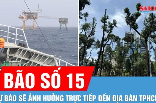 TPHCM khẩn trương triển khai các biện pháp ứng phó bão số 15