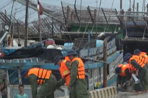 Đặc khu Trường Sa hỗ trợ hơn 2.500 ngư dân trú tránh bão an toàn
