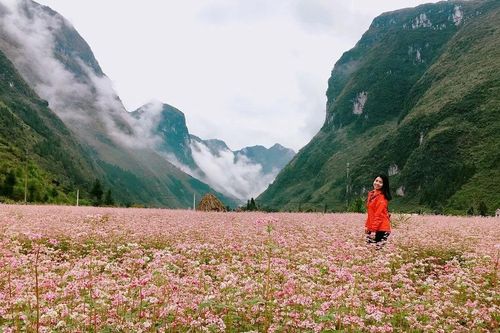 Thưởng thức món ăn độc đáo khi đến Tuyên Quang mùa tam giác mạch