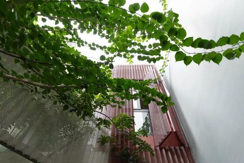 Độc đáo nhà phố được kiến tạo từ những khoảng thở