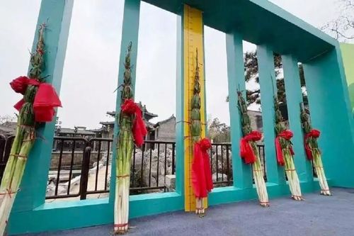 Kinh ngạc cây hành lá khổng lồ dài hơn 2 mét