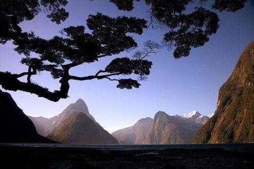 Điều đặc biệt ở nơi hoang sơ bậc nhất New Zealand