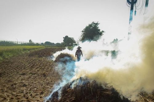 Mỗi vụ gặt lại 'mù trời khói rơm': Bao giờ dứt điểm?