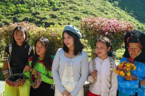 Gen Z rủ nhau lên núi săn mây, ngắm hoa tam giác mạch