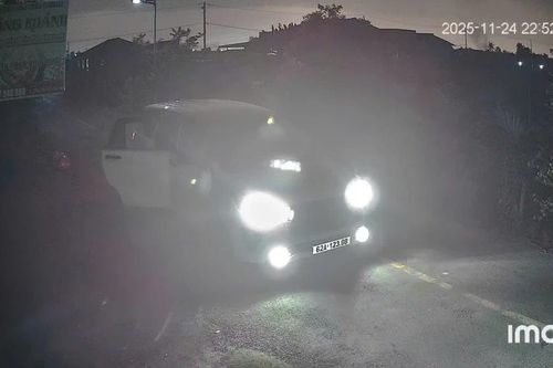 Bắt đối tượng trong nhóm đi ô tô trộm chó gây xôn xao dư luận ở Tây Ninh