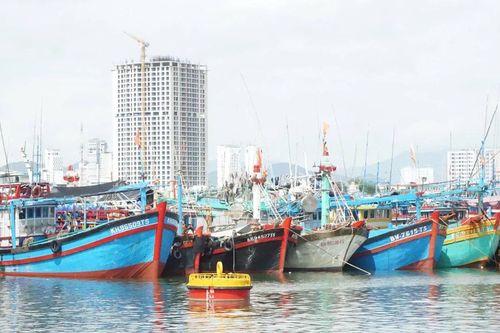 Khánh Hòa cấm biển từ 7 giờ ngày 28/11 để ứng phó bão số 15