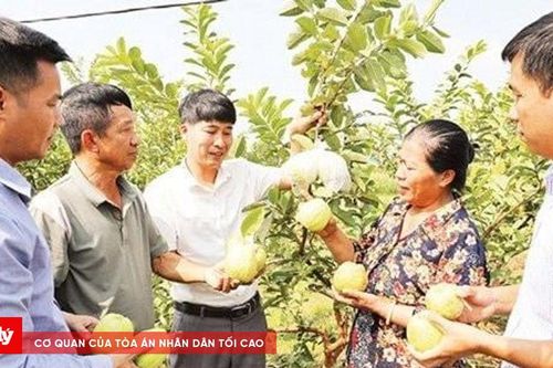 Bắc Ninh: Giảm nghèo bền vững trong kỷ nguyên số