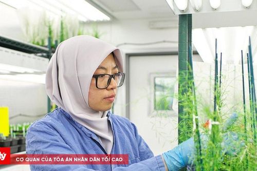 Các nhà khoa học hàng đầu thế giới hiến kế nuôi sống 10 tỷ người