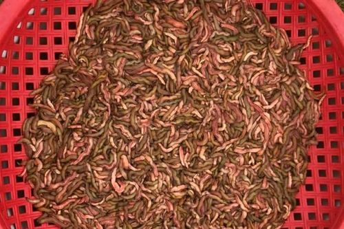Cãi nhau với em vì mấy cân rươi, anh cả 4 năm không đến đám giỗ mẹ