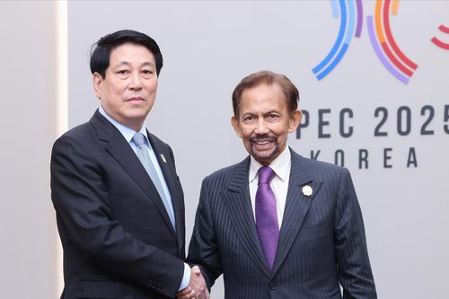 Quốc vương Brunei sắp thăm Việt Nam