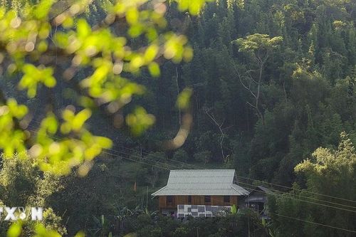 Phú Thọ: Kết hợp văn hóa và du lịch trong không gian liên kết mới