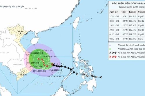 Thời tiết ngày 27/11: Bão số 15 tăng cấp, Tây Bắc Bộ có nơi dưới 7 độ C