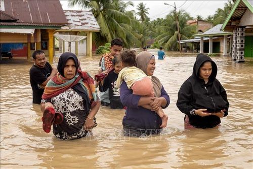 Indonesia thiệt hại nặng do lũ quét và sạt lở diện rộng