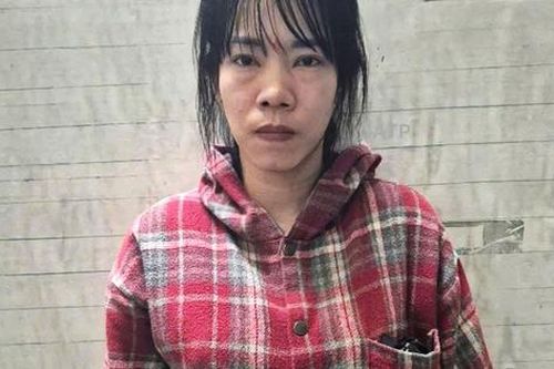 'Lưới trời' lồng lộng, 'nữ quái' bị tóm gọn sau gần 5.000 ngày trốn nã