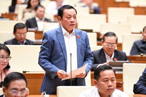 Đại biểu Quốc hội đề nghị bổ sung quy định ưu tiên sử dụng AI Việt