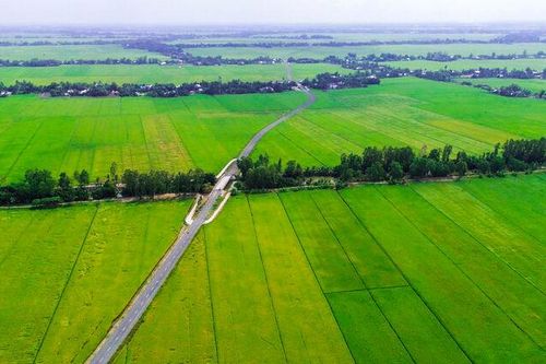 Đổi thay vùng căn cứ cách mạng Vĩnh Hòa