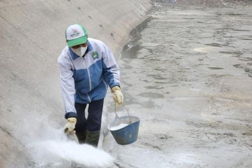 Bắc Ninh: Khôi phục nuôi trồng thủy sản sau mưa bão