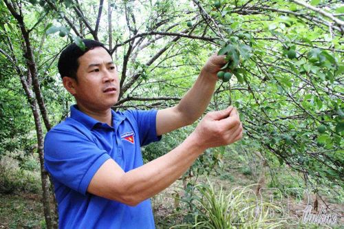 Sức trẻ khởi nghiệp sáng tạo