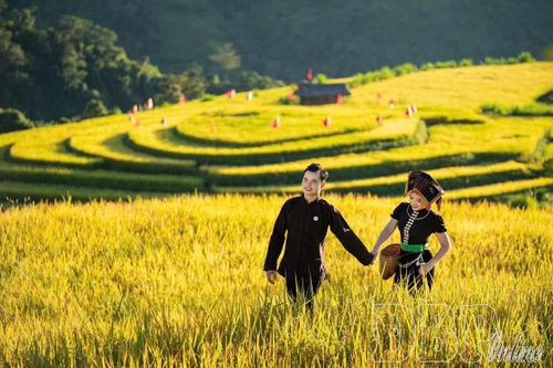 Trao giải cuộc thi ảnh online 'Mùa vàng trên bản Thái'