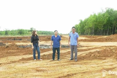 Người dân Tân Lợi và câu chuyện đẹp từ phong trào thi đua yêu nước