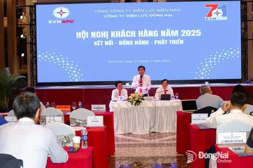 Hơn 1,34 triệu khách hàng được Điện lực Đồng Nai đảm bảo nguồn điện an toàn, ổn định