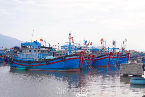 Đến 15 giờ ngày 27-11, có 3.365 tàu cá, phương tiện thủy neo đậu tránh trú bão số 15