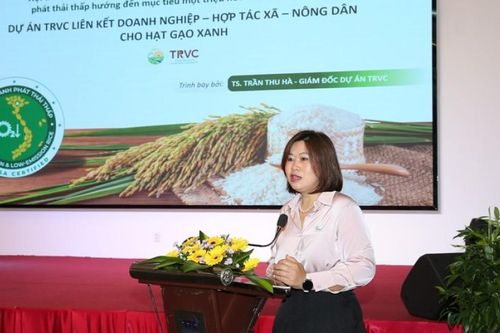 Đề án 1 triệu ha lúa 'xanh': Liên kết chuỗi, chuẩn hóa quy trình để về đích 2030