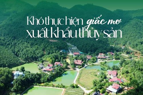 Khó thực hiện giấc mơ xuất khẩu thủy sản