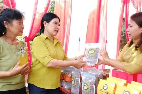 Khởi nghiệp từ hạt mắc ca