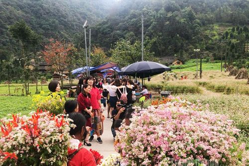 Sắc mùa vùng cao - Khi núi đá hóa thành sản phẩm du lịch độc đáo