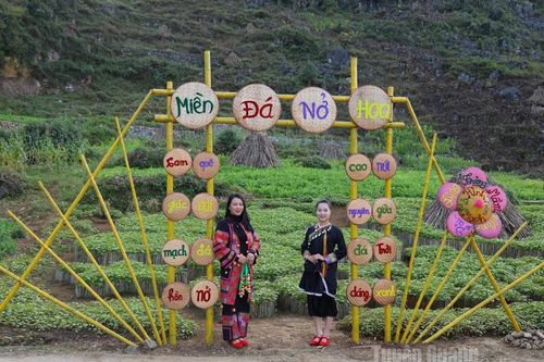 Hội thi tạo hình hoa Tam giác mạch