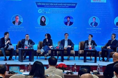 Hình thành hệ sinh thái Việt toàn cầu, gia tăng 'dấu chân Việt Nam'