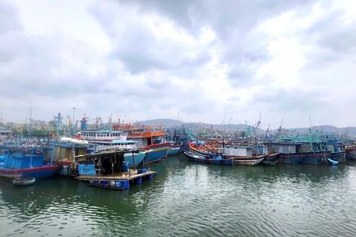 Gia Lai kêu gọi hơn 5.400 tàu thuyền khẩn trương vào bờ tránh bão số 15