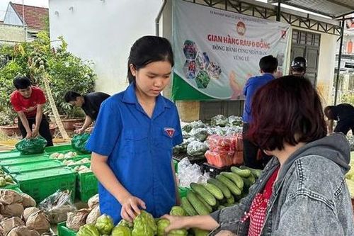 Gian hàng rau 0 đồng hỗ trợ người dân vùng lũ Khánh Hòa