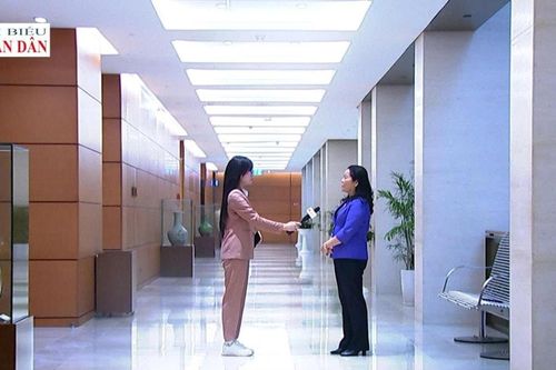 Hành lang nghị trường: Nghiên cứu, xem xét kỹ lưỡng đối với mô hình đại học vùng