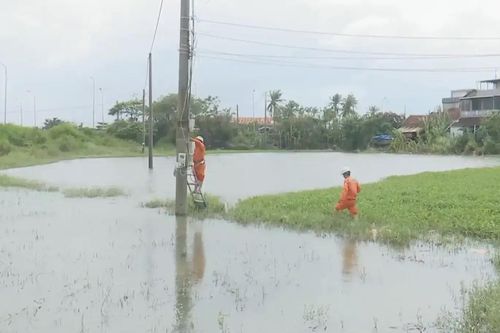 Khôi phục điện, đường, trường, trạm ở vùng lũ Đắk Lắk