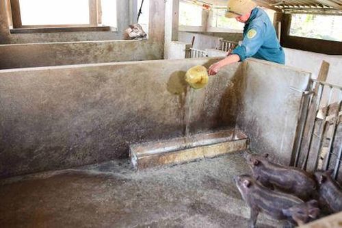 Cần thêm nguồn lực để 'tiếp sức' cho các mô hình giảm nghèo bền vững