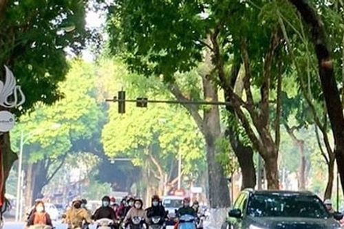 Miền Bắc tiếp tục rét về đêm và sáng