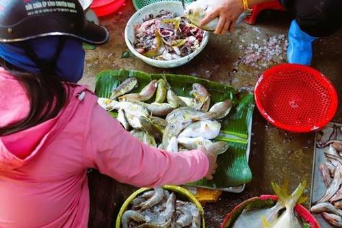 Bất chấp cảnh báo, người dân ven biển vẫn bày bán tràn lan loại cá chứa độc tố cực mạnh