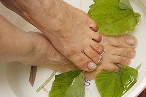 Sử dụng lá lốt ngâm chân như thế nào là tốt nhất?