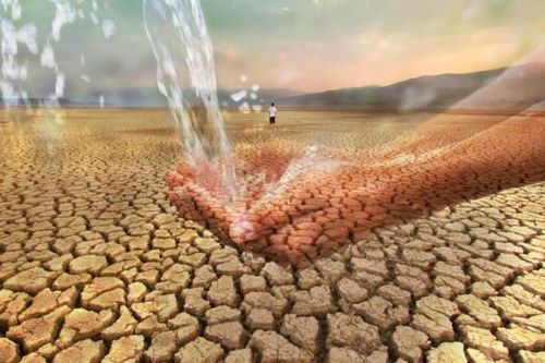 Hội nghị G20 tại Nam Phi: Những vấn đề trọng tâm toàn cầu