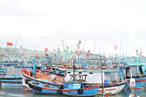 Gia Lai: Chủ động ứng phó với bão số 15