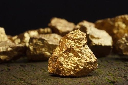 Công ty đào vàng lớn nhất Việt Nam nguy cơ bị hủy tư cách đại chúng