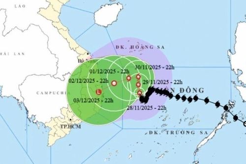 Cập nhật bão số 15