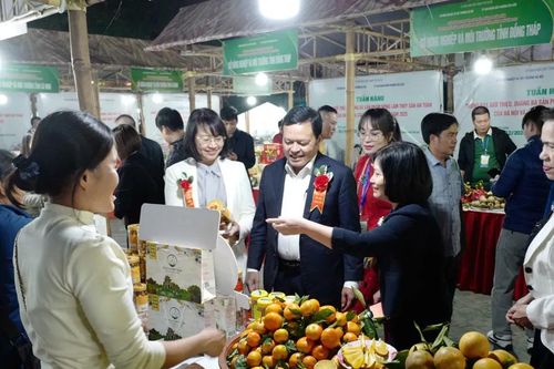 Hà Nội: hơn 1.300 đặc sản vùng miền quy tụ tại Vườn hoa Kim Liên