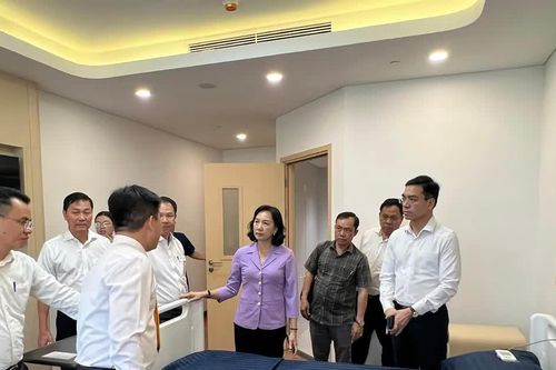 Khảo sát năng lực đảm bảo y tế phục vụ Hội nghị APEC 2027