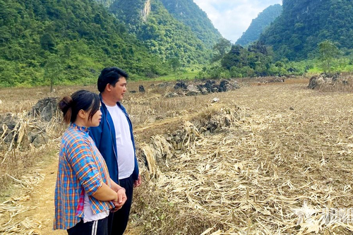 Những người gieo mầm tin yêu vững bước theo Đảng-Bài 3: Bí thư chi bộ Nông Văn Nghiệp và hành trình 'chuyển mình' của Lũng Chuống