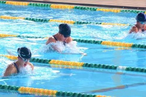 Chuyên gia hiến kế cho thể thao thành tích cao và kinh tế thể thao Đà Nẵng đột phá