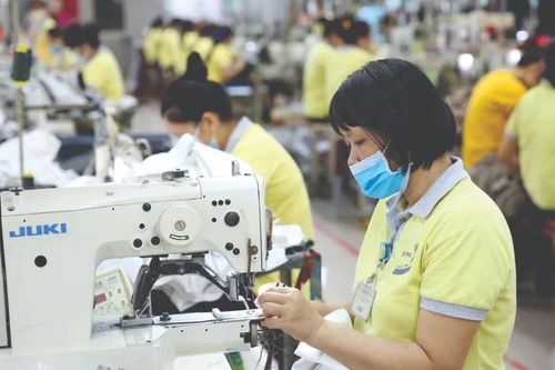 Kinh tế Việt Nam thích ứng tốt trước biến động